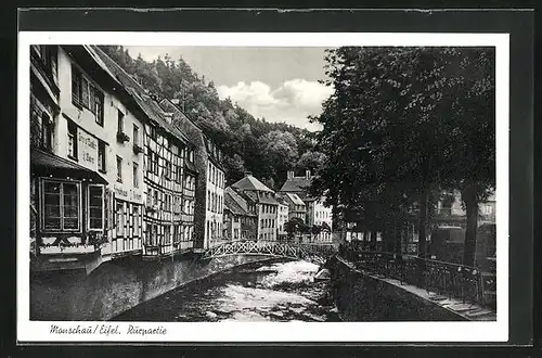 AK Monschau /Eifel, Rurpartie