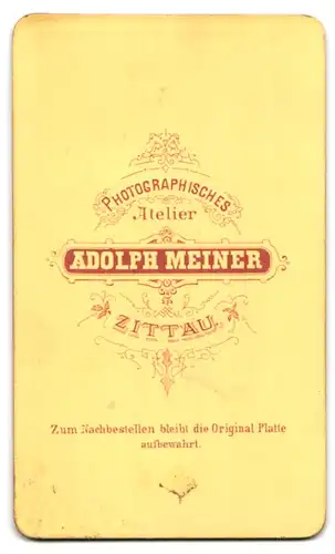 Fotografie Adolph Meiner, Zittau, Portrait junger Mann in modischer Kleidung