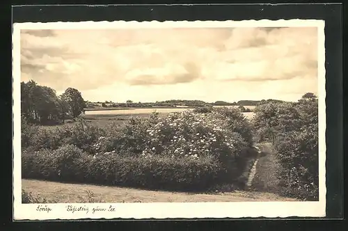 AK Sörup, Fusssteig zum See