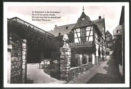 AK Rüdesheim, Drosselhof in der Strasse Drosselgasse