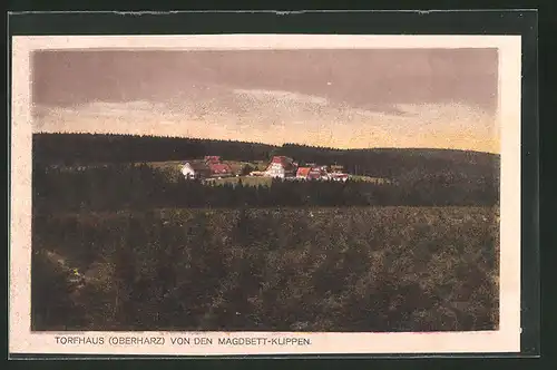 AK Torfhaus /Harz, Ortsansicht von den Magdbett-Klippen, Gasthaus Wendt (Brockenkrug)