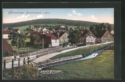 AK Buntenbock /Harz, Ortspartie