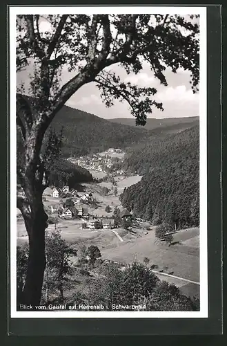 AK Herrenalb, Blick vom Gaistal auf den Ort