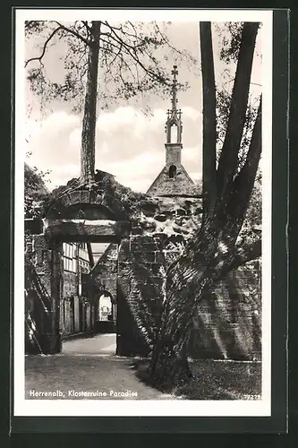AK Herrenalb, Klosterruine Paradies