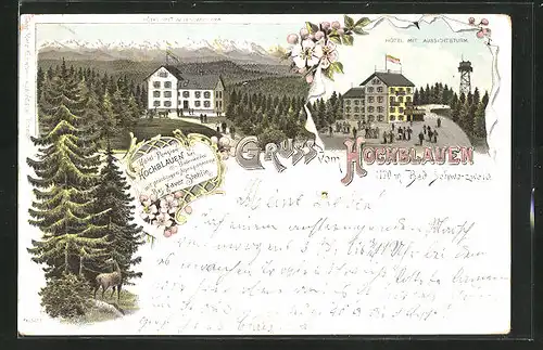 Lithographie Hochblauen / Bad. Schwarzwald, Hôtel-Pension Hochblauen mit Aussichtsturm