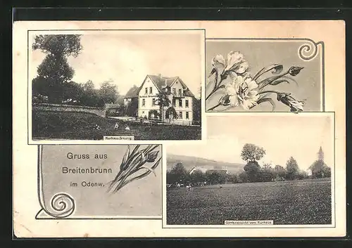 AK Breitenbrunn i. Odenw., Kurhaus Breunig, Gartenaussicht