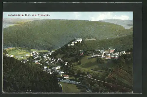 AK Schwarzburg /Thür., Ortsansicht vom Trippstein