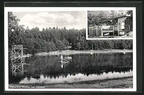 AK Usingen i. T., Gasthof am Hattstein-Weiher