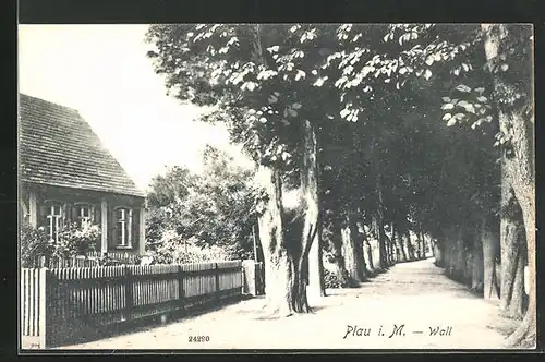 AK Plau i. M., Haus am Wall
