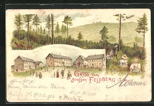 Lithographie Feldberg / Taunus, Die drei Feldberghäuser, Wald mit Blumensammler