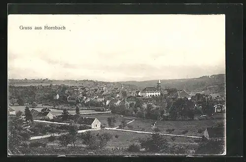 AK Hornbach / Pfalz, Panorama