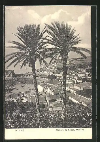 AK Madeira, Camara de Lobos