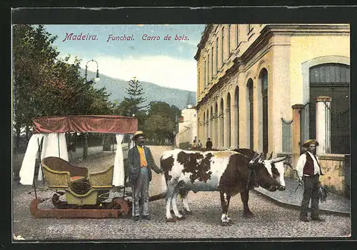 AK Madeira, Funchal, Carro de bois