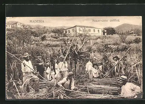 AK Madeira, Sugar-Cane cutting