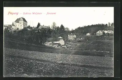 AK Freyung, Schloss Wolfstein, Forstamt