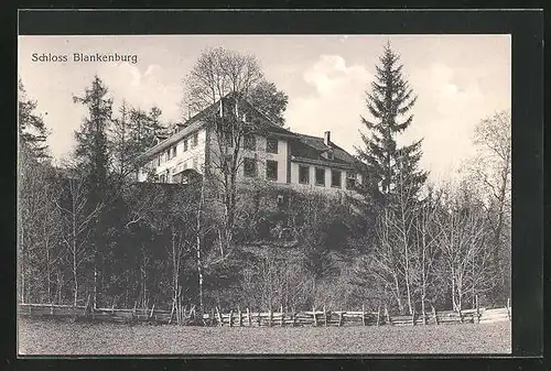 AK Zweisimmen, Schloss Blankenburg