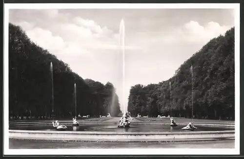 AK Schwetzingen, Schlossgarten Arion mit Springbrunnen