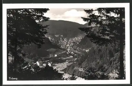 AK Triberg, Ortsansicht aus der Vogelschau