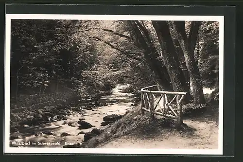 AK Wildbad /Schwarzwald, Enzpartie