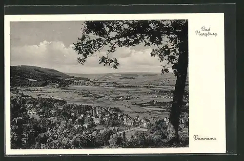 AK Bad Harzburg, Panorama