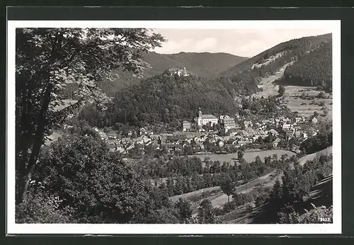 AK Leutenberg i. Thür., Teilansicht