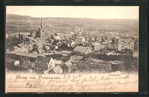 AK Freienwalde /Oder, Panorama