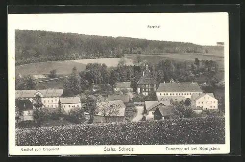 AK Cunnersdorf, Ortsansicht mit Gasthof zum Erbgericht und Forsthof