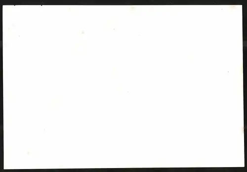 Lithographie Borna, Panorama, Lithographie um 1835 aus Saxonia