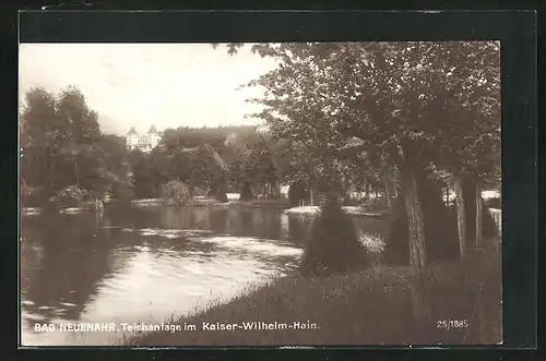 AK Bad Neuenahr, Teichanlage im Kaiser-Wilhelm-Hain