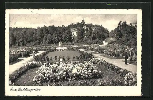 AK Gera, Blick in den Dahliengarten