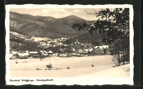 AK Sülzhayn / Südharz, Ortsansicht im Winter