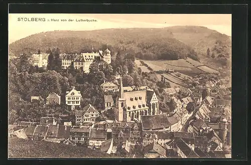 AK Stolberg / Harz, Blick von der Lutherbuche