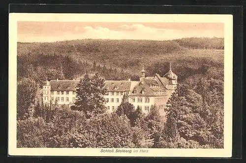 AK Stolberg / Harz, Schloss Stolberg Gesamtansicht