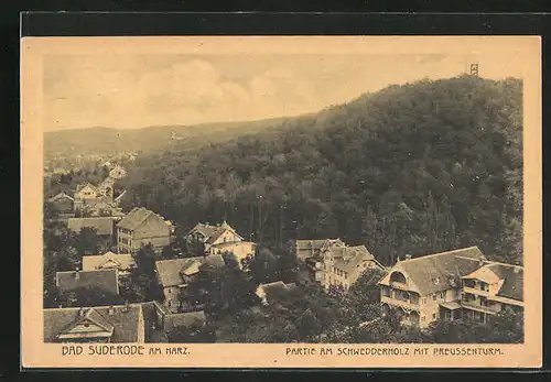 AK Bad Suderode a. Harz, Schwedderholz & Preussenturm