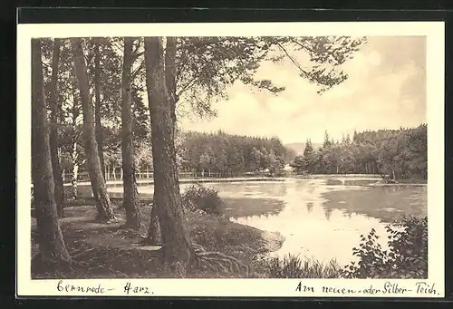 AK Gernrode / Harz, Partie am neuen Teich