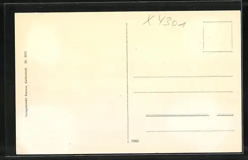 AK Alexisbad i. H., Ortsansicht mit Kurhaus