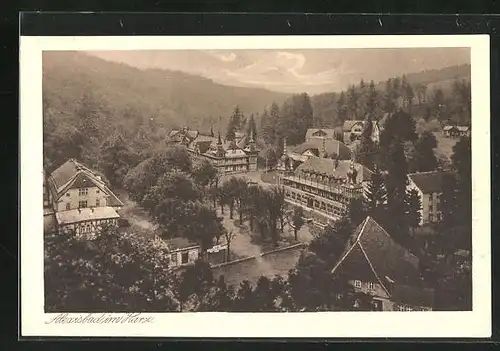 AK Alexisbad / Harz, Partie im Ortskern