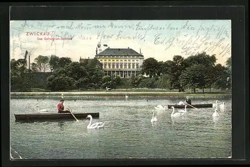 AK Zwickau, Ruderboote vor dem Schwanenschloss