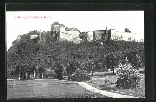 AK Königstein i.S., auf dem Feldweg unter der Festung