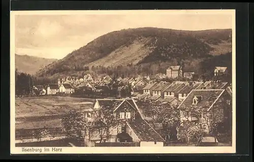 AK Ilsenburg a. Harz, Blick über die Wohnhäuser im Ort