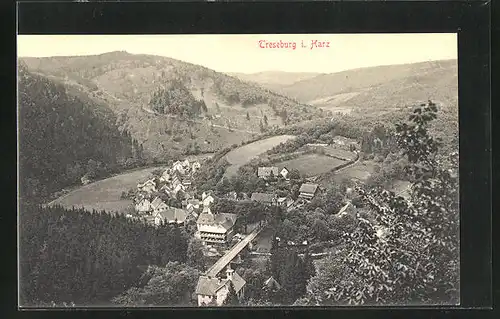 AK Treseburg im Harz, Ortstotale im Tal