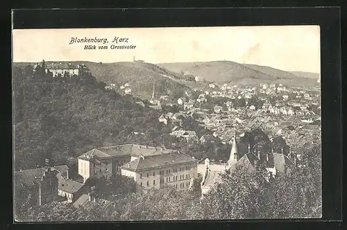 AK Blankenburg im Harz, Blick vom Grossvater auf die gesamte Stadt