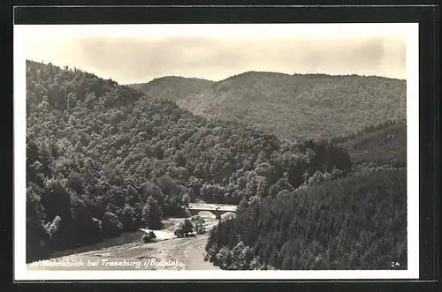 AK Wilhelmsblick b. Treseburg i. Bodethal, Panorama