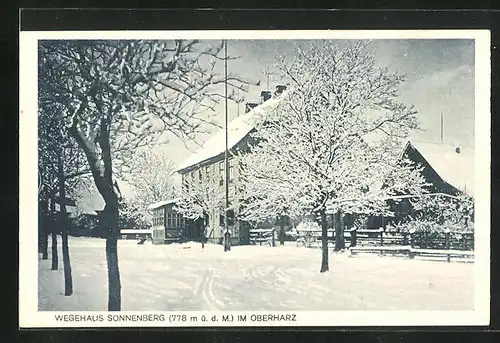 AK Sonnenberg / Harz, Pension Wegehaus Sonnenberg