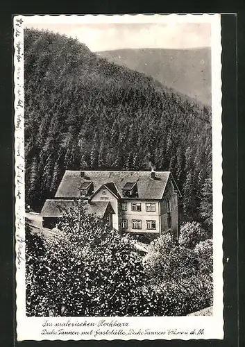 AK Hohegeiss / Harz, Gasthaus Dicke Tannen aus der Vogelschau