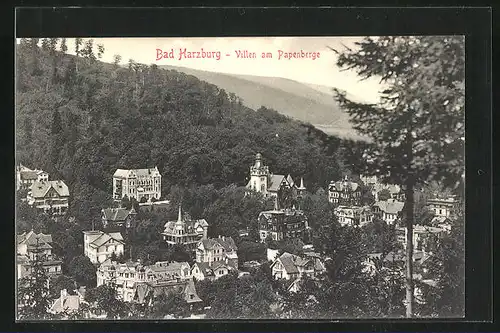 AK Bad Harzburg, Villen am Papenberg
