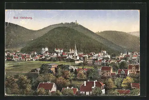 AK Bad Harzburg, Totalansicht