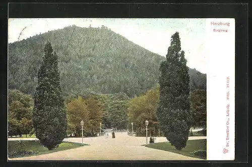 AK Bad Harzburg, Burgberg mit Park