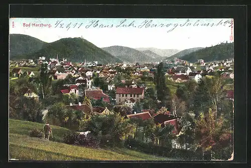 AK Bad Harzburg, Panorama
