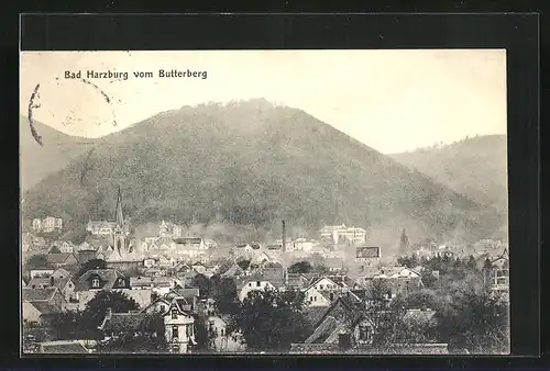AK Bad Harzburg, Ortsansicht vom Butterberg